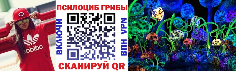 купить наркотики цена  Владивосток  Галлюциногенные грибы Cubensis 