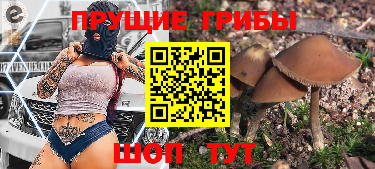 Галлюциногенные грибы MAGIC MUSHROOMS  Галлюциногенные грибы Psilocybe  Владивосток  Вход с VPN 